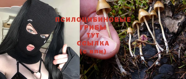ешки Алексин
