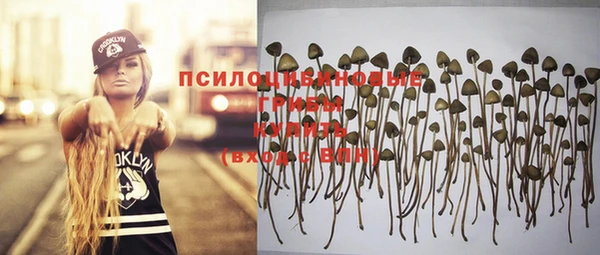 ешки Алексин