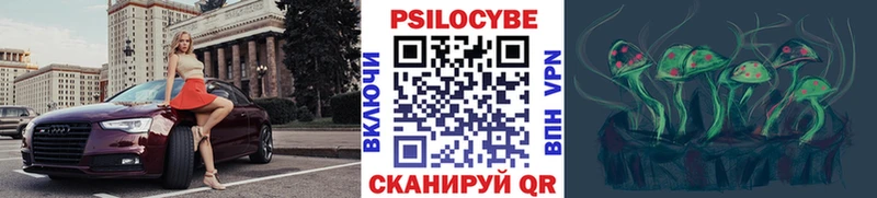 Псилоцибиновые грибы Psilocybe  Фатеж 